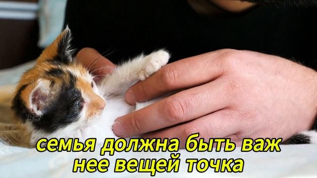 Моя сестра годами дарила мне дешёвые подарки, поэтому смотреть онлайн