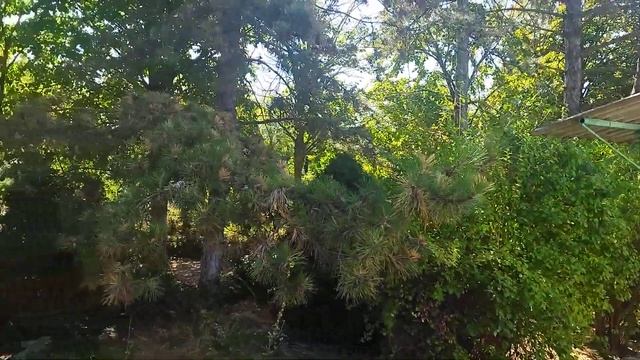 заброшенная турбаза смотреть онлайн
