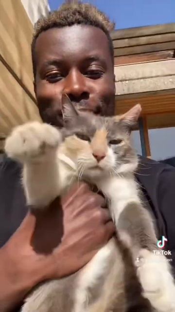 Какие вкусняшки есть в Африку?? #вкусняшки #африка #дет смотреть онлайн