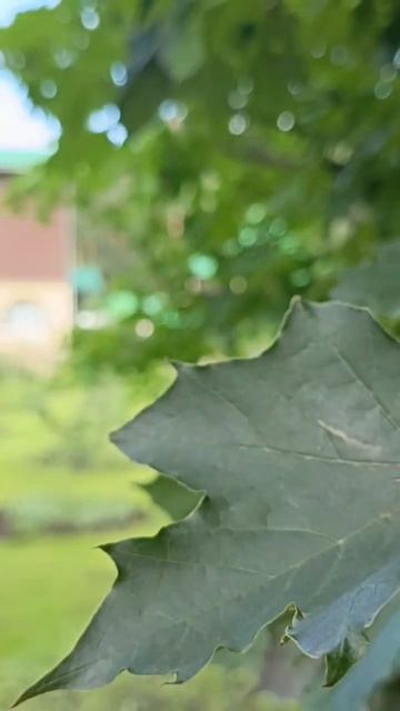 всем хорошего отдыха #shorts #youtubeshorts #природа #храм #церко смотреть онлайн