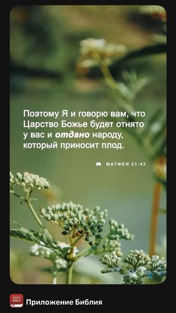В Иисусе все меняется. Царство предназначено для тех, ? смотреть онлайн