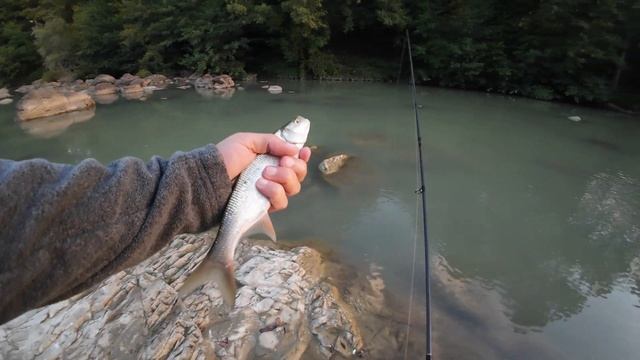 Голавль и не только на теплой реке Краснодарского кра? смотреть онлайн