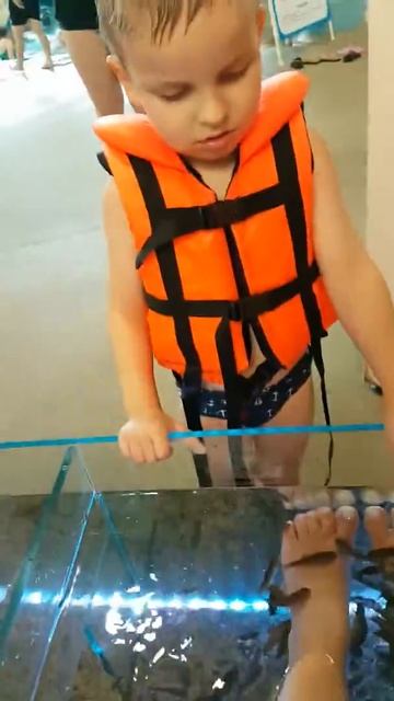 #аквапарк#кваква#рыбки#ксениярусалкина смотреть онлайн