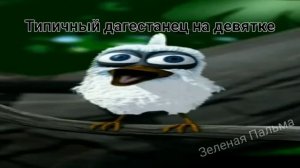 Птица кричит САЛАМ АЛЕКУМ