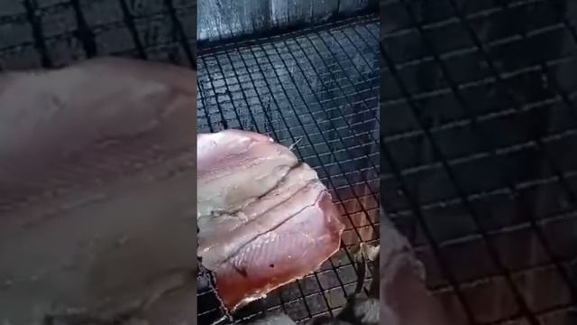 #копчениерыбы#охота#рыбалка смотреть онлайн