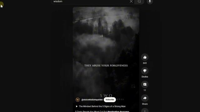 2  Примеры контента и ниши для автоматического монтажа