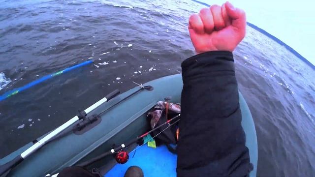 Где ловить сома на квок осенью. Какая насадка сработал