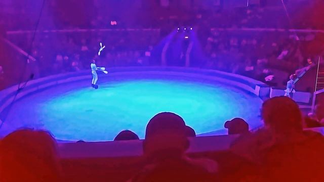 Цирк, цирк, цирк!!! Circus смотреть онлайн