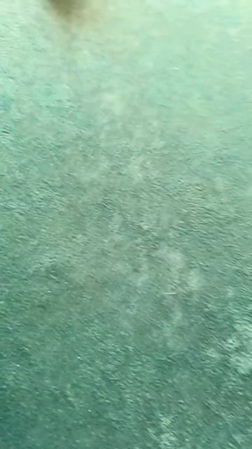 Это самая лучшая игра в мире!❤️❤️❤️❤️❤️￼ смотреть онлайн