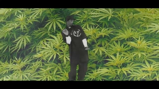 Снупи смотреть онлайн