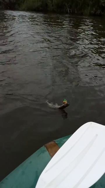 Понтон 21 смотреть онлайн