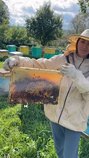 Можно ли диабетикам кушать мёд? смотреть онлайн