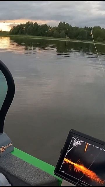 Поводок выдержал щуку, как новый #shorts #fishing #xbaits