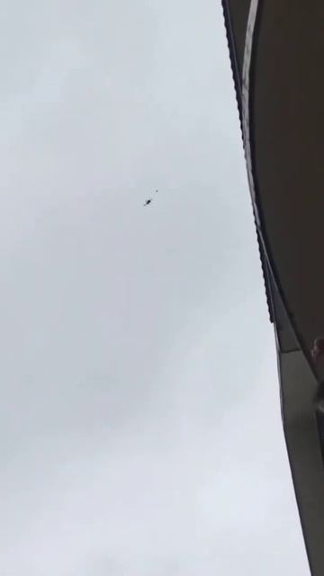 Птицы проводят успешную атаку на дрон Мавик смотреть онлайн