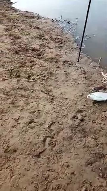 Астрахань 24 апреля 22года