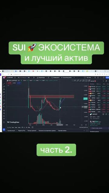 Sui экосистема #трейдинг #крипта #альткоины #биткоин #short смотреть онлайн