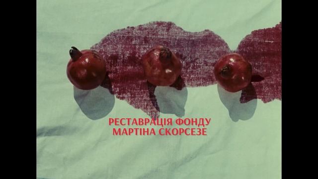 КОЛІР ГРАНАТА З 03 ЖОВТНЯ 2024 / SAYAT NOVA, офіційний тизер