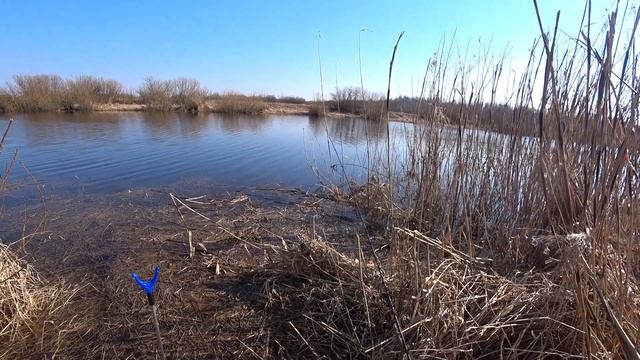 РЫБАЛКА РАННЕЙ ВЕСНОЙ НА РЕКЕ! ДОСАДНЫЙ СХОД!