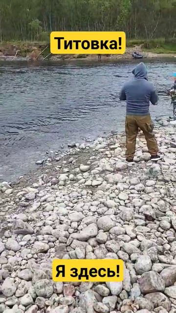 Титовка! Я здесь! горбуша есть! васярыбаков рекоменда