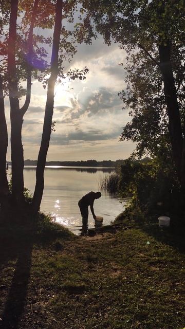 Летний вечер. Рыбалка #guitar #озеро #поставы #fishing #postavy смотреть онлайн