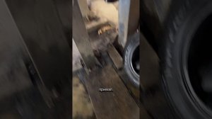 Пушечное сало, Кордон или качественная антикоррозийн?