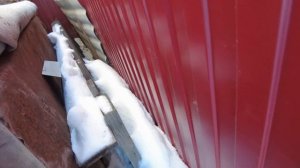 Напала собака! Напала собака что делать?!