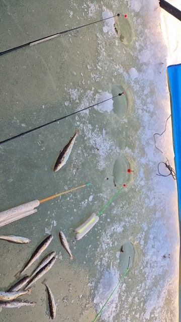 21 декабря 2024 г. смотреть онлайн