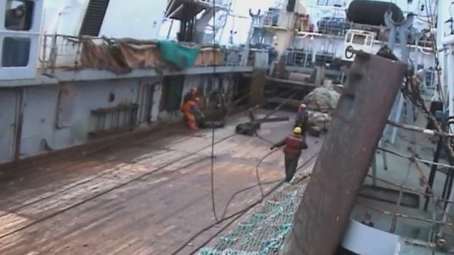 Рыболовное судно «Адмирал Шабалин», ловля рыбы трало? смотреть онлайн