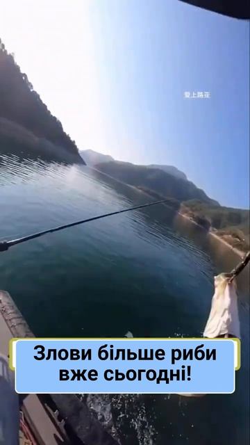 Приманка креветка CH