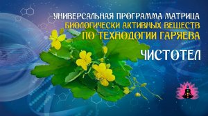 Чистотел  🔊 программа матрица по технологии Гаряева П.П ☀️ SoftRadio.ru