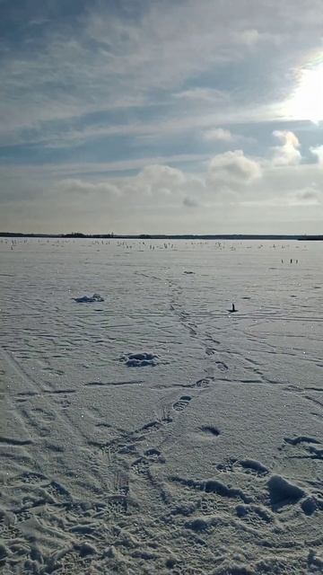 Планета ЗЕМЛЯ 🤔 чудеса природы ....реальность без спец смотреть онлайн