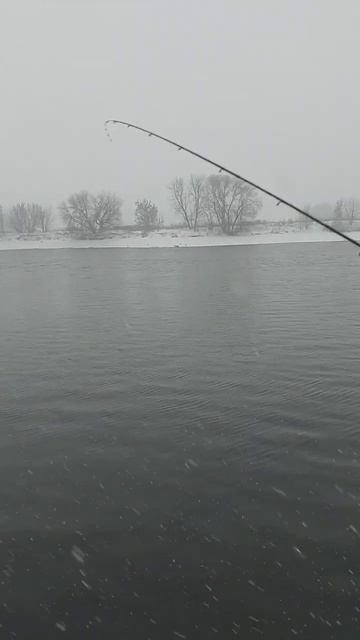 Первая рыбалка зимой на фидер. #рыбалка #фидер #зима смотреть онлайн