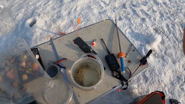 Бент 13 трудовая рыбалка выезд на прудовую форель 09.02.202