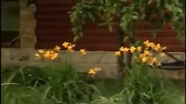 Организация освещения на частном участке смотреть онлайн
