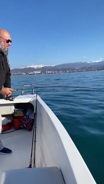 Сорвался. Рыбалка в Сочи. #рыболовныйгид #fishing #рыбалка? смотреть онлайн