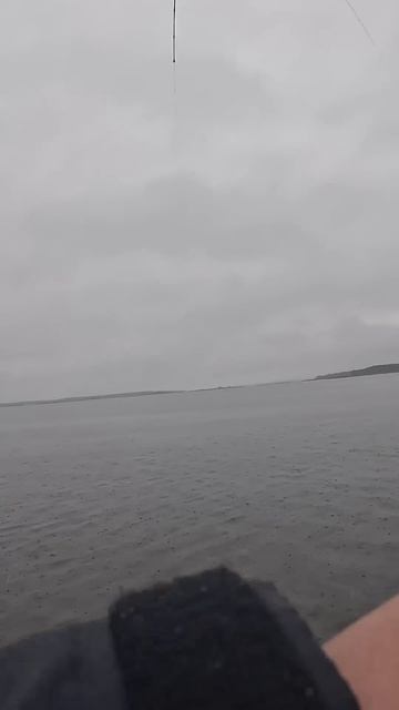 Очередная поклевка судака и результат!) #рыбалка #fishing # смотреть онлайн