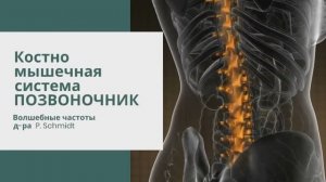 ИСЦЕЛЕНИЕ, РЕГЕНЕРАЦИЯ И ВОССТАНОВЛЕНИЕ ПОЗВОНОЧНИКА*ИСЦЕЛЕНИЕ ЗВУКОМ*ЧАСТОТЫ д-ра ШМИДТА