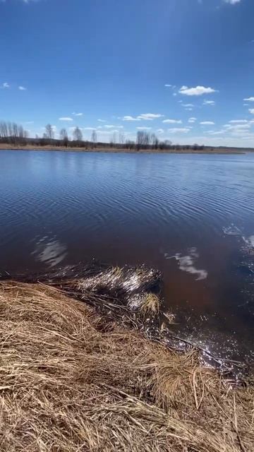 #красноярскийкрай #automobile #россия #carpfishing #сибирь #рыбал?