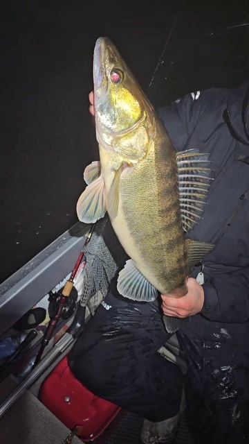 Судак на джиг – как это работает!➤ Подписывайся и лов? смотреть онлайн