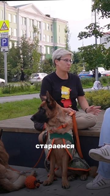 Животные играют большую роль в жизни человека #собаки смотреть онлайн