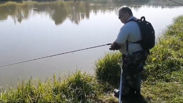 Светлые Горы 08.09.2024