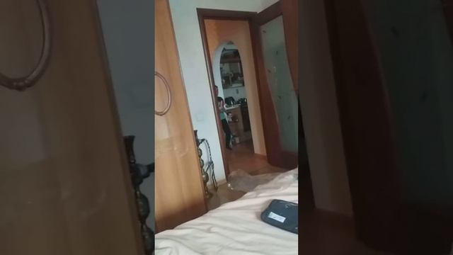 Новые перчи от kipsta смотреть онлайн