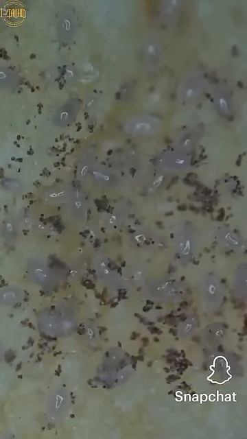 Нельзя есть чипсы. смотреть онлайн