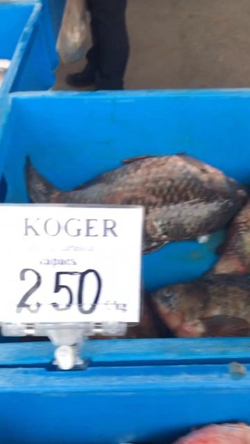 Ціни на свіжу та жирну рибу в Естонії! #ринок #риба #цін? смотреть онлайн