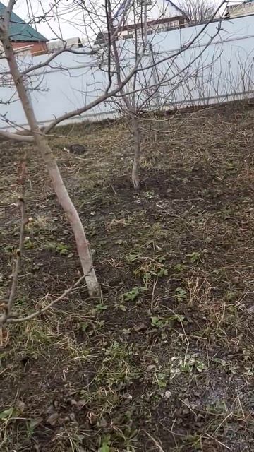 уборка сада . Урядатама саднять смотреть онлайн