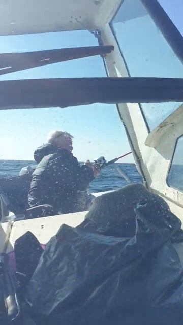 #владивосток #городуморя #рыбалка #кальмар #море #рассв смотреть онлайн