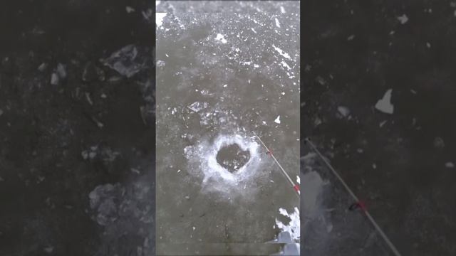 Рыбалка по первому льду #рыбалка #окунь #рекомендации # смотреть онлайн