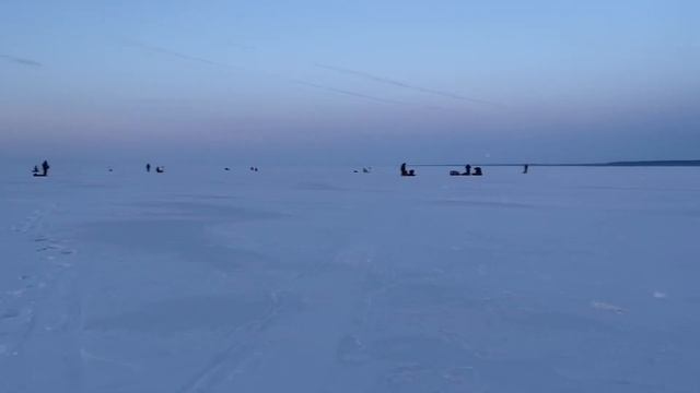 Рыбачим на Берди,в хомутине!и на Обском водохранилище! смотреть онлайн