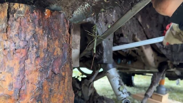 10 ДНЕЙ В ТАЙГЕ.СЛОЖНЫЙ МАРШРУТ смотреть онлайн