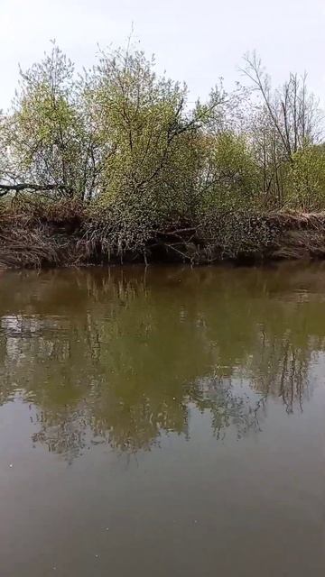 Плес. Ровное течение. МЫСЛИ В СЛУХ😀😎#camping #nature #рыбалк смотреть онлайн